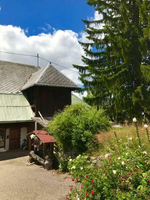 Echtes Schwarzwaldhaus - Traditionell & Modern Bernau im Schwarzwald Εξωτερικό φωτογραφία