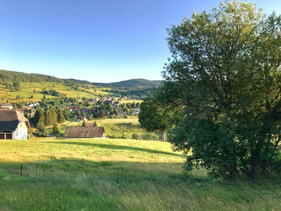 Echtes Schwarzwaldhaus - Traditionell & Modern Bernau im Schwarzwald Εξωτερικό φωτογραφία